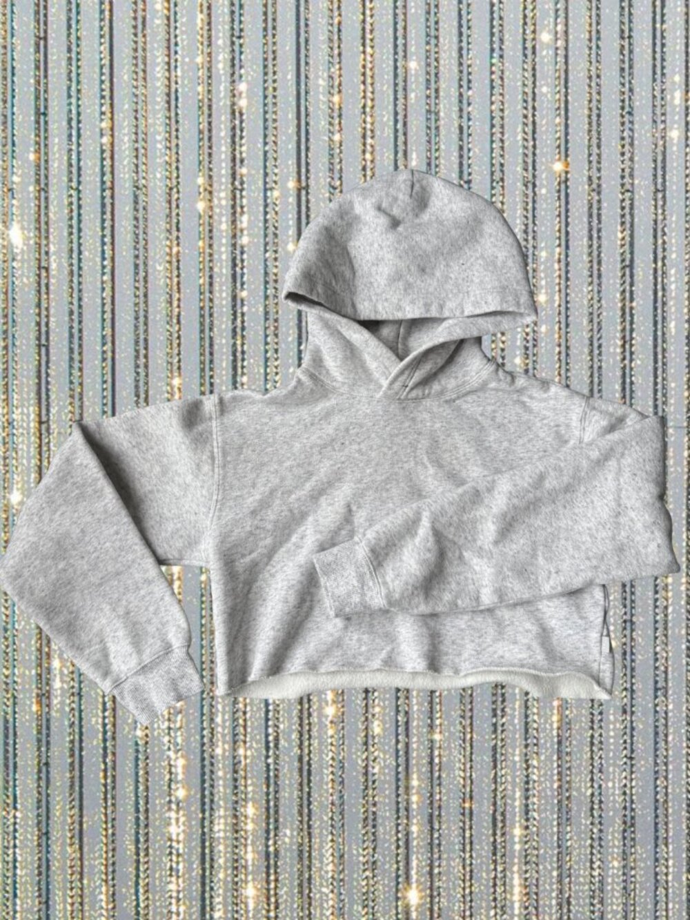 Aritzia TNA Grey Cropped Hoodie Minimalist Fleece Sweatshirt